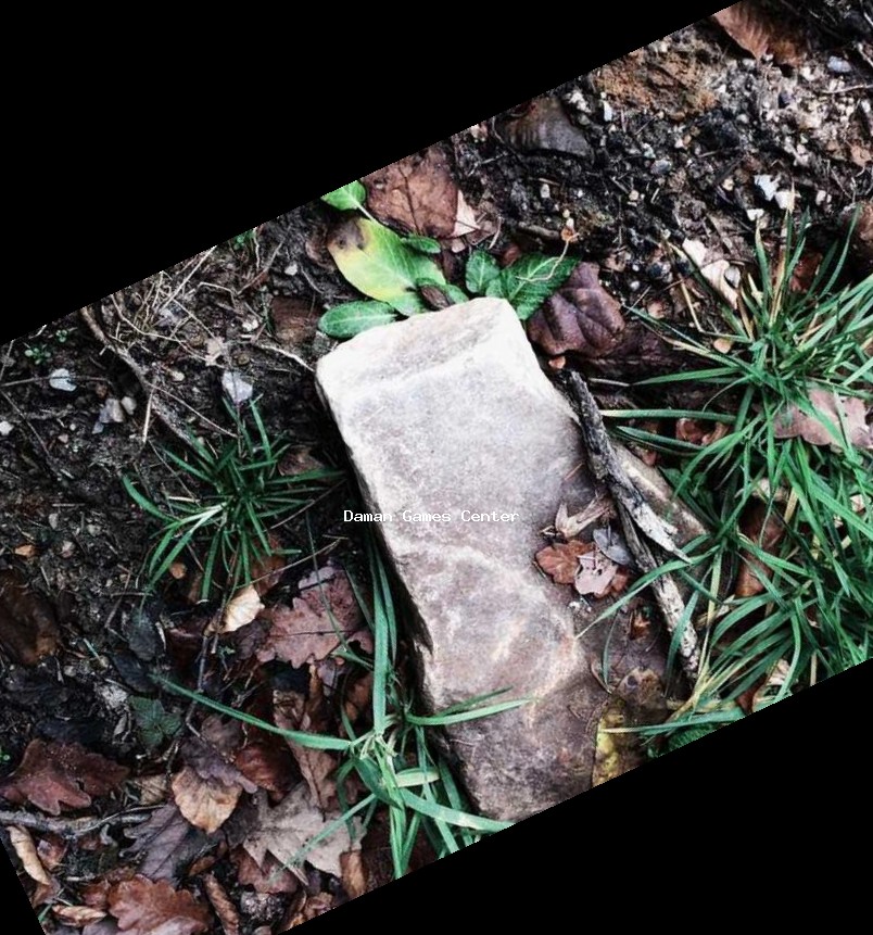 Shadow Fight 3 Indian community meetup